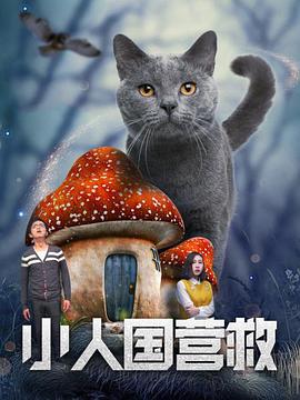 青青青爽在线视频观看